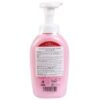 Nước rửa bình sữa Arau Baby chai 500ml - Ảnh 2
